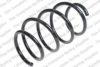 LESJ?FORS 4072997 Coil Spring